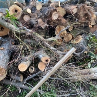 0円あげます　木材　工芸資材の画像