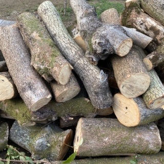 0円あげます　木材　工芸資材の画像