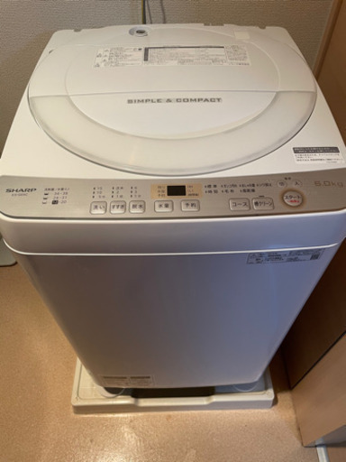 ‼️極美品‼️2019年シャープ洗濯機‼️6キロ‼️