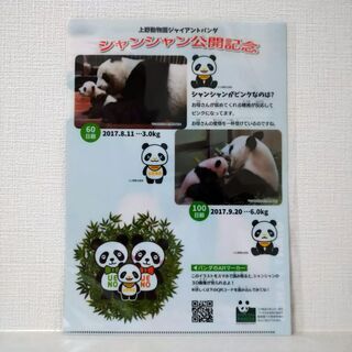 クリアファイル パンダ シャンシャン 香香の画像