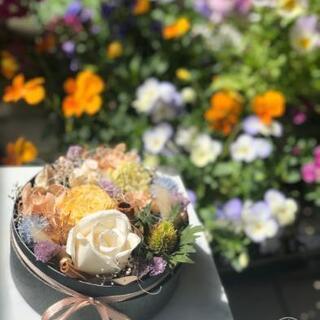 フラワーボックスアレンジ【GRAYISHBOX Arrangement】の画像