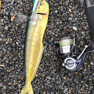 釣り友募集