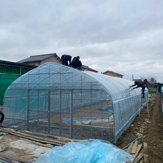 ビニールハウス作業員の画像