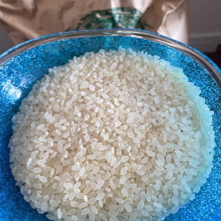 受け渡し決定しました【古米】お米　約14キロ