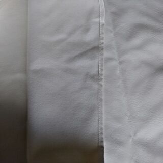 ディーゼル　DIESEL 白　袋　美品の画像