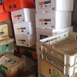 保温　ボックス　箱　弁当　仕出し　プラスチック　工具箱　収納の画像