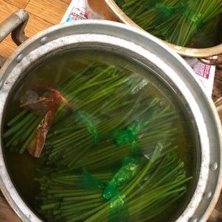 沢内村産　山菜色々の画像