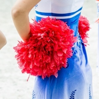 みんなdeチアダンスin練馬　の画像