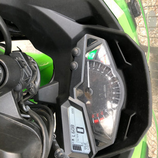 ２０１４年ニンジャ２５０ＥＸ－Ｌの画像