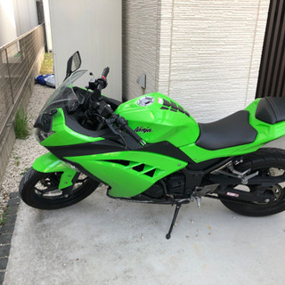 ２０１４年ニンジャ２５０ＥＸ－Ｌの画像