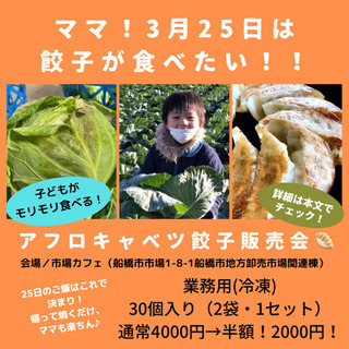 TVで紹介！銚子のアフロキャベツを使った餃子の限定販売会❗️ 