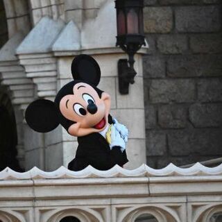 6月1日日IN予定　ディズニー友達募集🎶