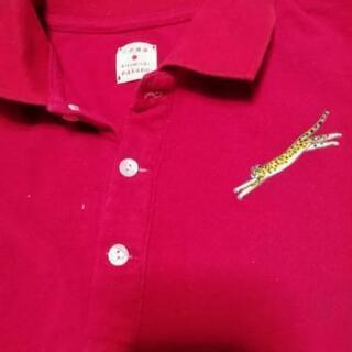 ポロシャツ　Mサイズ