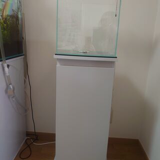 ADA水槽セット（30cm）