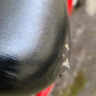 【ご相談中】使用感あり ストライダーの画像