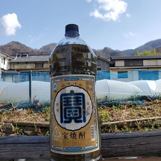 天然、行者ニンニク焼酎漬け