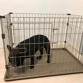 ペット用ケージ（取り引き中）の画像