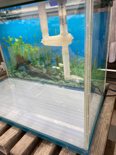 水槽　ライト　循環器　付き