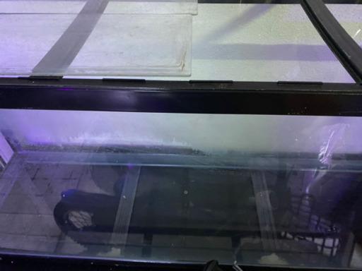 曲げガラス水槽120センチ