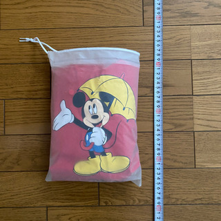 Disneyland レインポンチョの画像