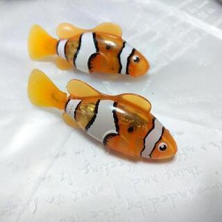 【譲渡完了】ロボフィッシュ(中古品)