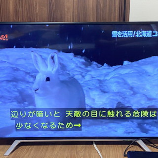 4/10まで　東芝製４K 55インチ液晶テレビ　REGZA　55...