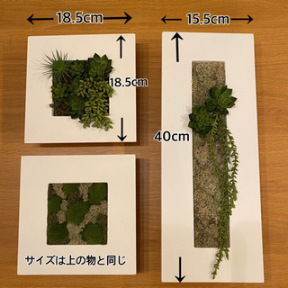 フェイクグリーン　壁掛け　多肉植物　モス　ウォールグリーンの画像