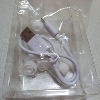ケーブルとイヤホンカバーのみです。