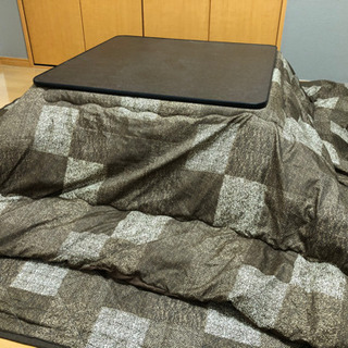 コタツ布団とカーペットのみ！（注意:テーブルは付きません）