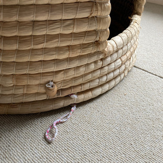 商談中　猫　ちぐら　の画像