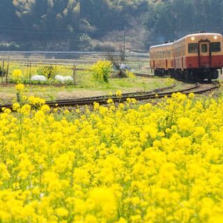 JR本社ビル近くのカフェで鉄道好きの方同士でお話ししませんか？ - 新宿区
