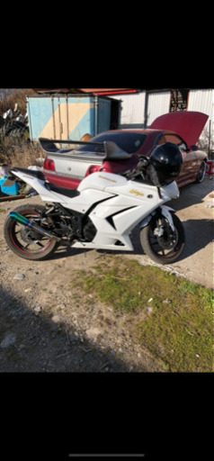ninja250R 購入者決まりました
