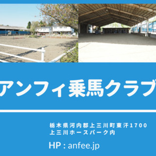 厩舎作業ボランティア募集＠アンフィ乗馬クラブ