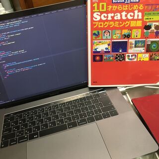 ［現役プログラマが教える、不登校生徒指導の経験豊富！］プログラミング家庭教師[スウェーデン生も受付中！]の画像