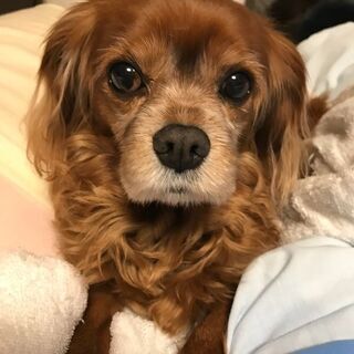お気に入りの写真を好きなアイテムにプリント