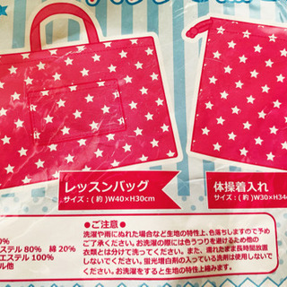 新品未使用❗️通園 通学 レッスンバッグ　体操着入れ　2点セット