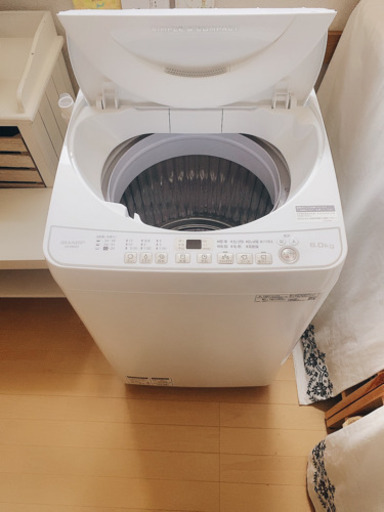【超美品】SHARP2019年製　6kg 洗濯機