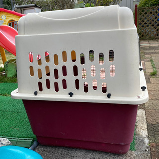 大型犬ゲージの画像
