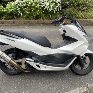 pcx 125 jf56 の画像