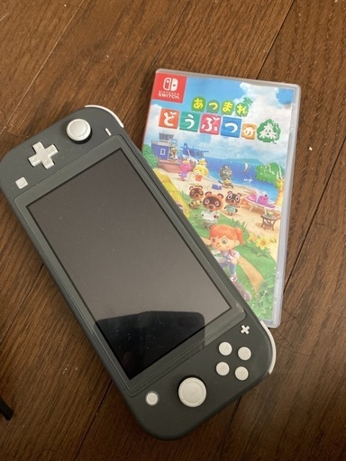 必見！早いもの勝ち！Switchライト＆動物の森セット