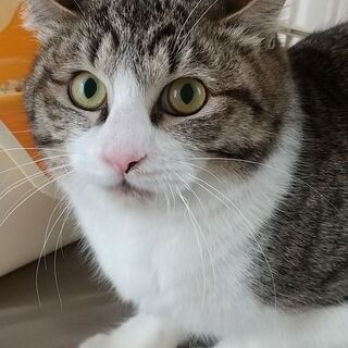 里親さん宅で恐持て君から甘ったれ君に変化してます！ 