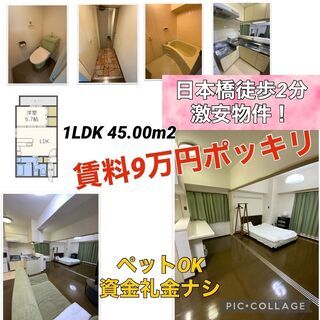 この広さで安すぎ案件！ペットOK敷礼不要！これは早い者勝ち！