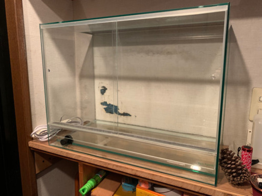 レインフォレストパルダリウムケージ、3月23日引き取り限定