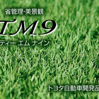 ⭐︎最高級芝TM9⭐︎受け渡し者決定