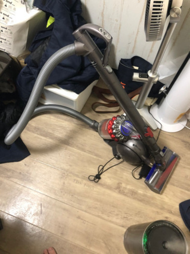 Dyson Ball Animal+Fluffy 掃除機