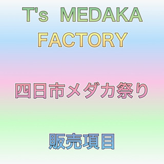 四日市メダカ祭り‼️