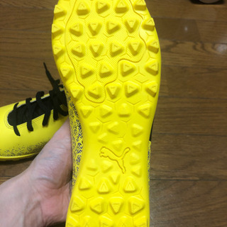 トレシューの画像