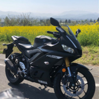 yzfr25