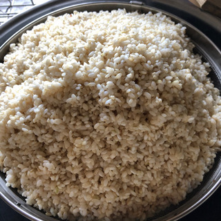 麹作りワークショップ