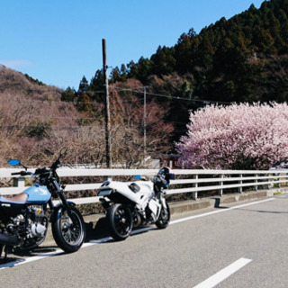 平日に一緒に行ける方